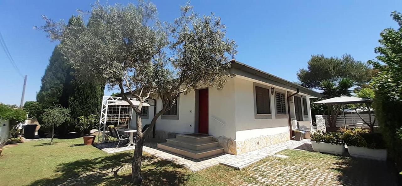 Gens Mundi B&B Ostia Antica Eksteriør billede